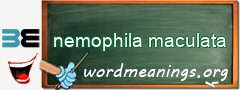 WordMeaning blackboard for nemophila maculata